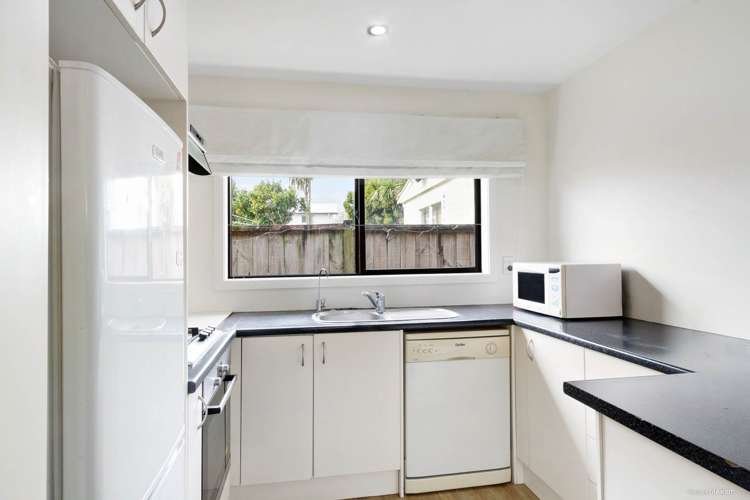 15a Avondale Road Avondale_9