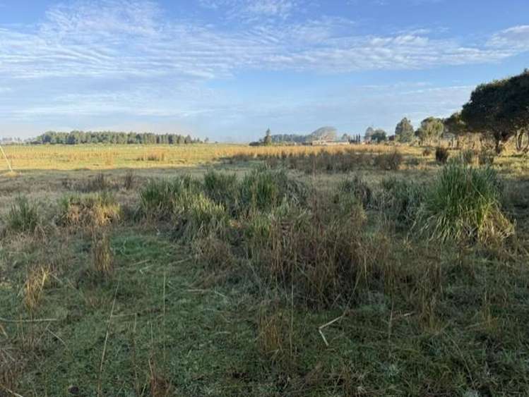 90 Station Road Dargaville_6