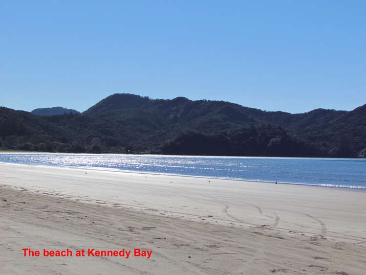 1182 Kennedy Bay Road Coromandel_11