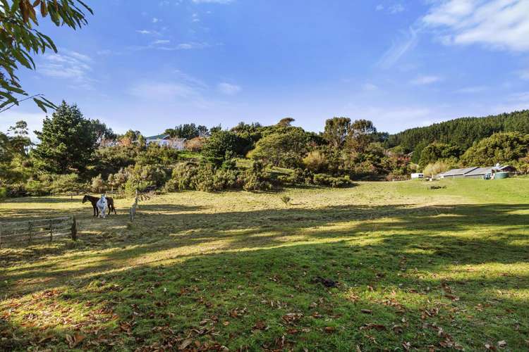 8 Mount Cecil Road Moonshine Valley_5