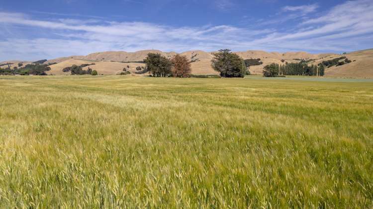 1231 Longbush Road Longbush_7