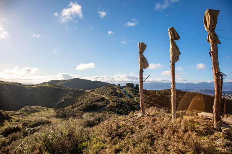 200 Parkvale Road Wilton_32