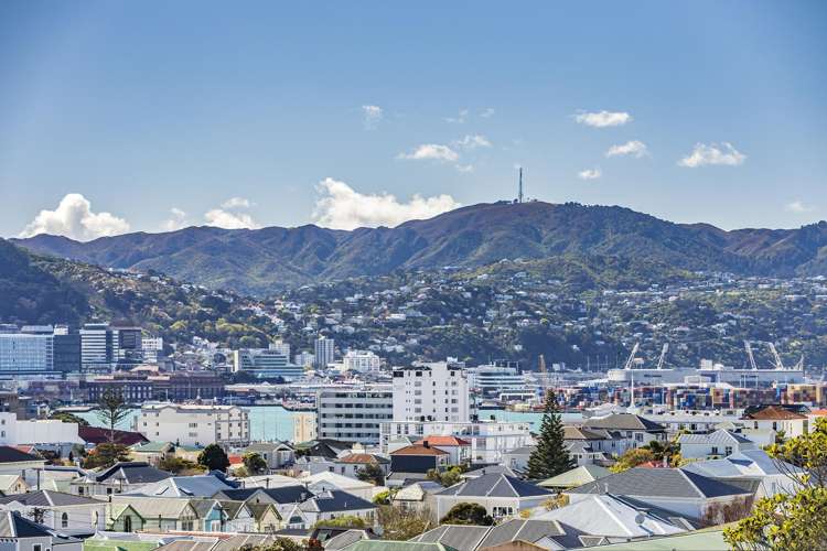 91 Ellice Street Mount Victoria_27