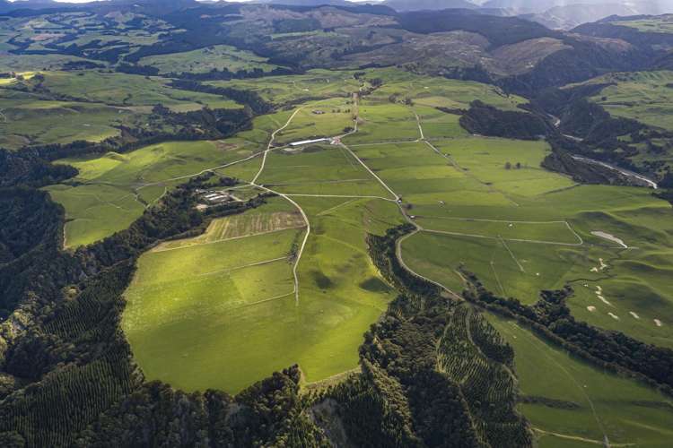 500 Willowford Road Waiwhare_12