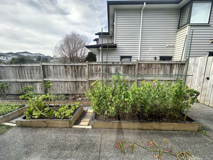 166 Harris Drive Millwater_5