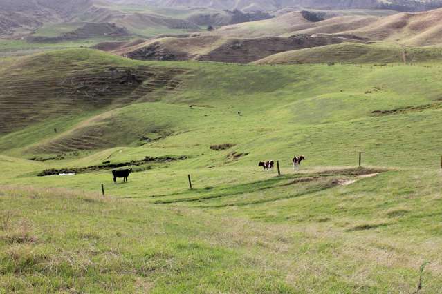 Prime Grazing and Finishing Block