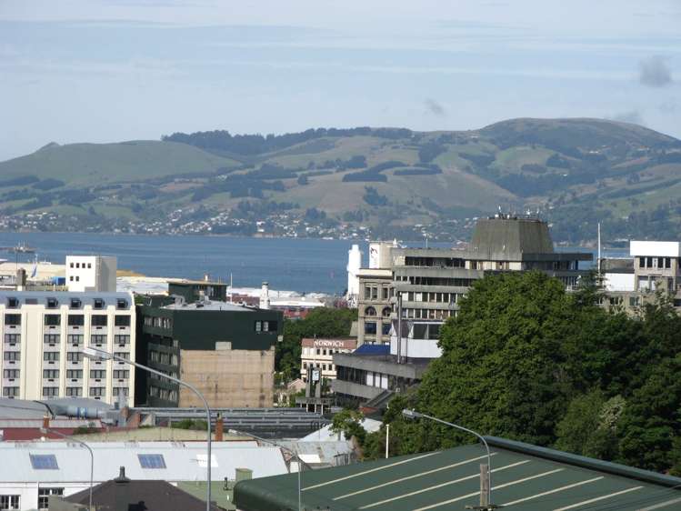 17b Serpentine Avenue Dunedin Central_1