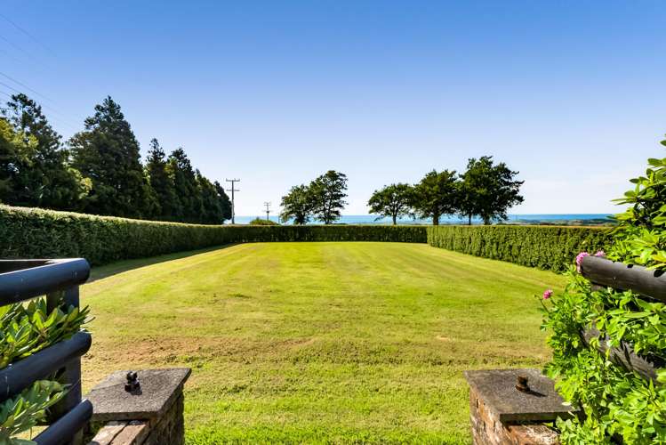 911 Plymouth Road Koru_41