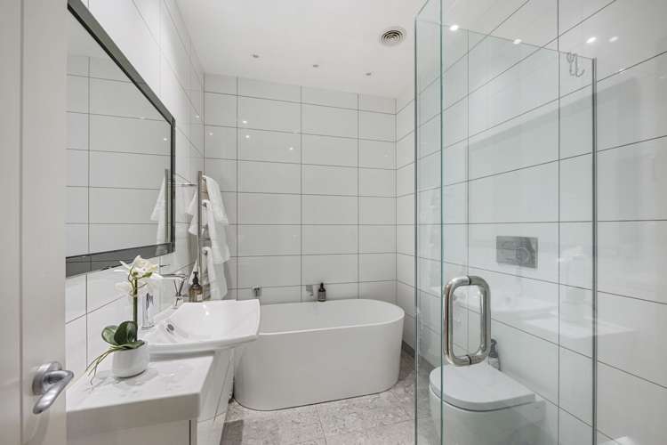 295 Postman Road Dairy Flat_29