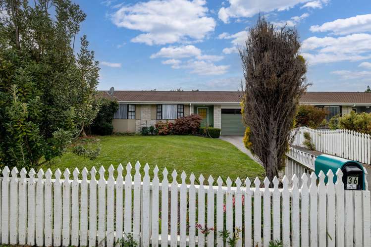 36 Criterion Street Bulls_19