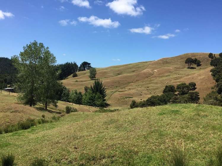 98a Corlett Road Tauhoa_12