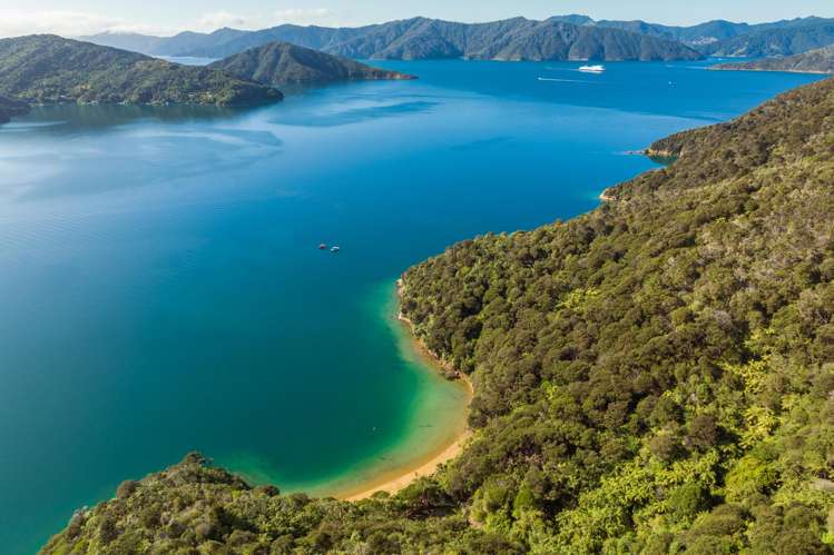 Cherry Bay, Ruakaka Bay Marlborough Sounds_21