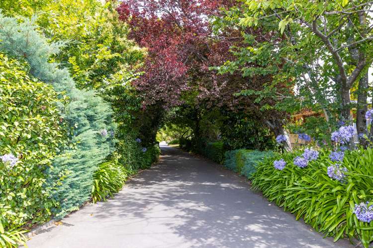 806e Williams Street Mahora_10