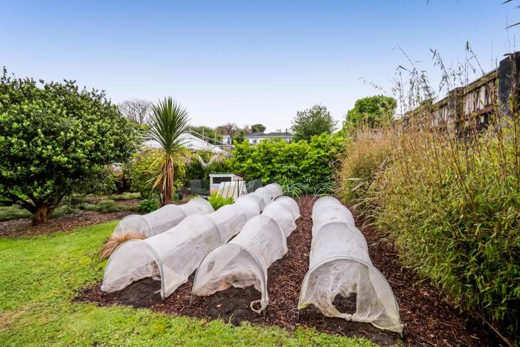 54 Waimea Street Westown_17