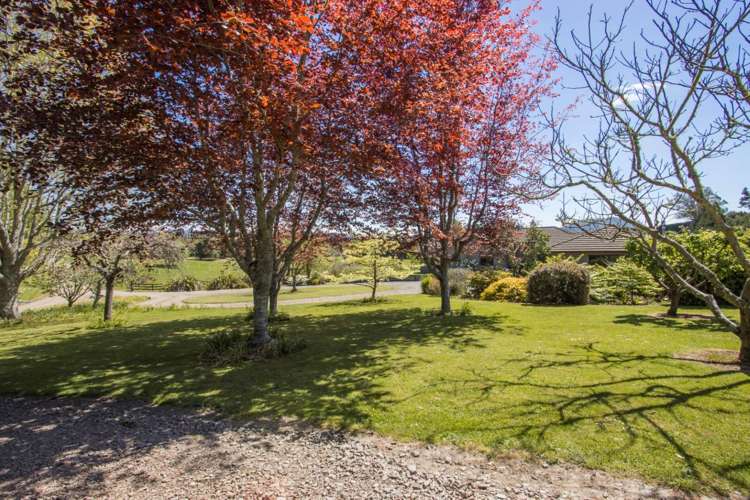 155 Ongare Point Road Katikati_19