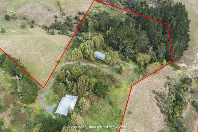 501a Kauri Road Onewhero_5