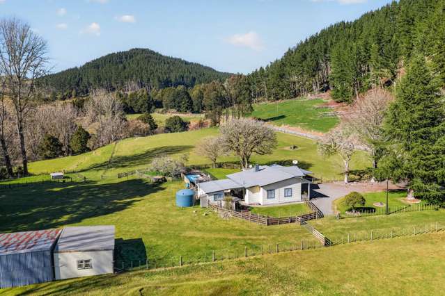 1513 Hikumutu Road Taumarunui_2