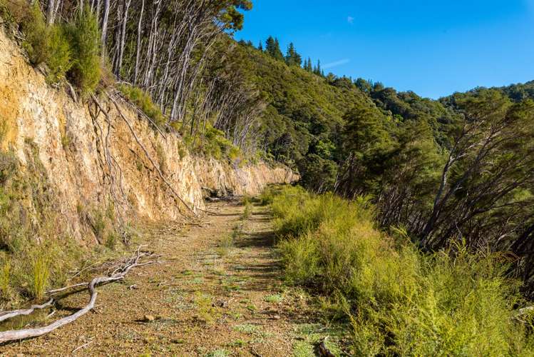 2464 Port Underwood Road Port Underwood_9