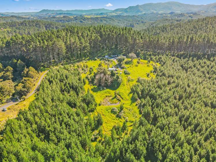 110 Whangape Track Road Broadwood_41