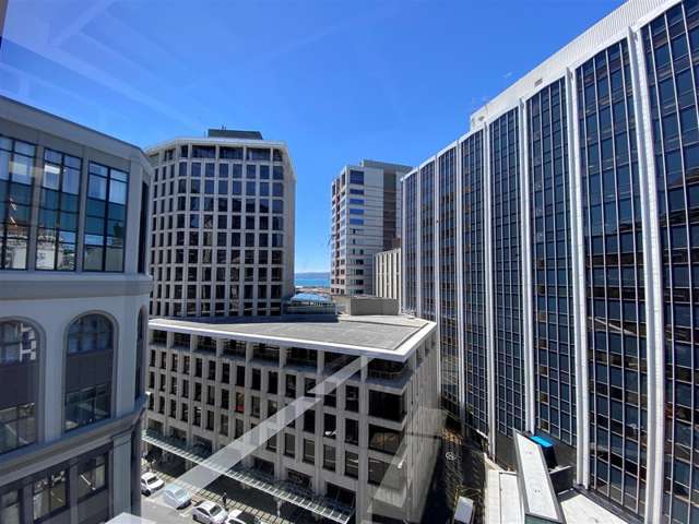 22 The Terrace Wellington_4