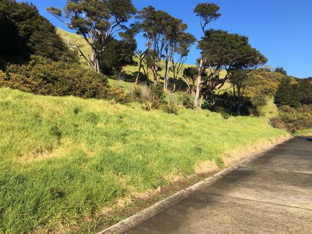 17 Te Mata Drive Te Mata_1