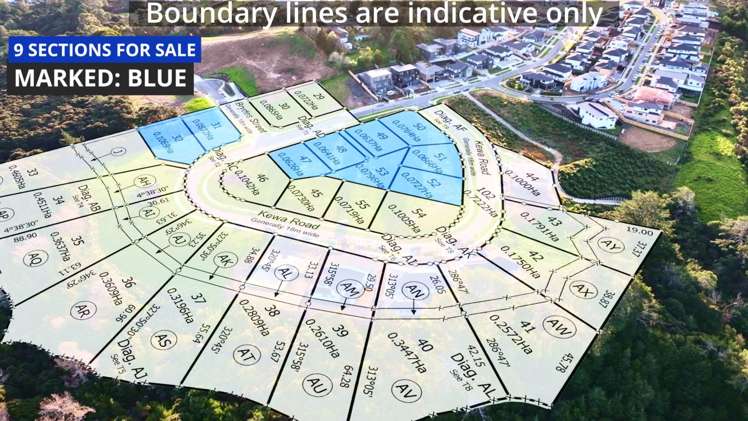 67 Kewa Road Albany Heights_2