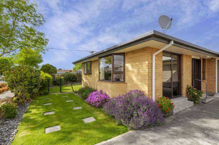 65A Proctor Street Papanui_12