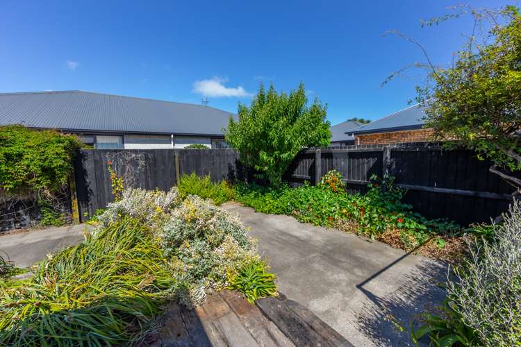 24 Macaulay Street Addington_18