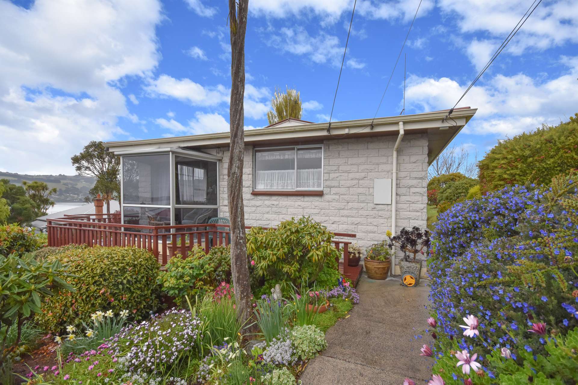 5 Kiwi Street Saint Leonards_0