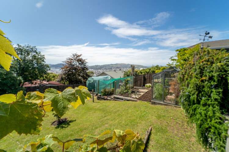 14 Earls Road Saint Clair_17