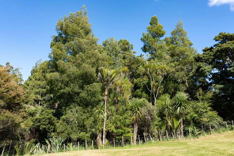 149 Whaka Street Maungaturoto_18