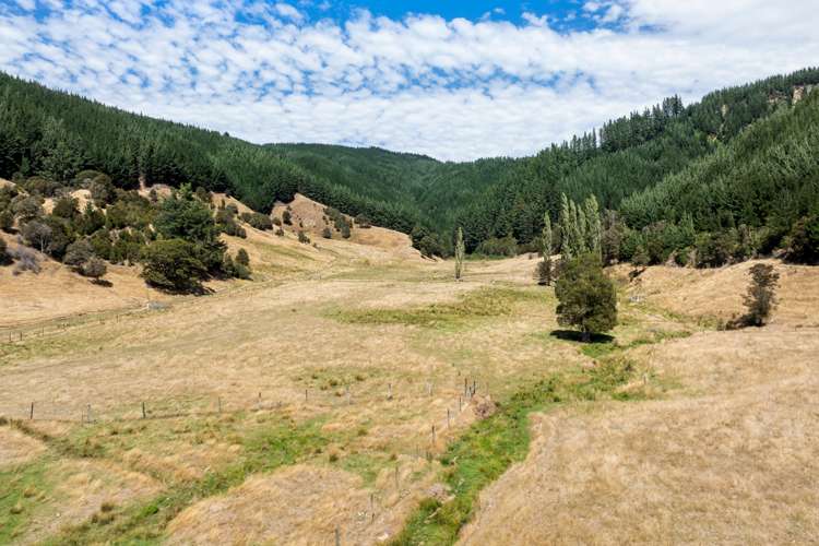 407 Onamalutu Road Wairau Valley_54