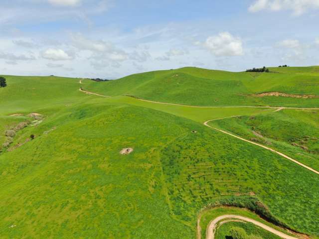 782 Mangare Road Wharepapa South_1