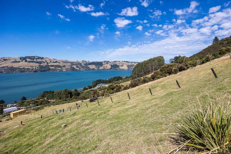 61 Kakapo Street Saint Leonards_24