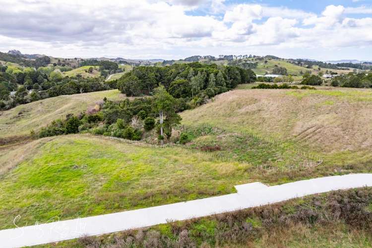 Whakapirau Road Maungaturoto_31