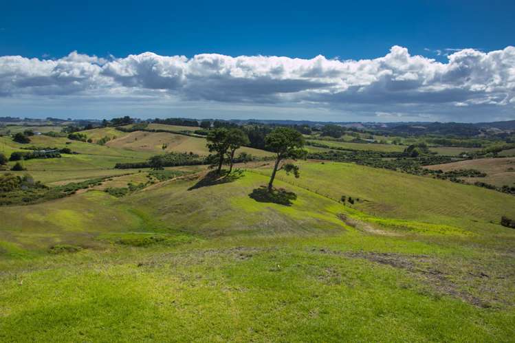 41 Windmill Glen Road Dairy Flat_2