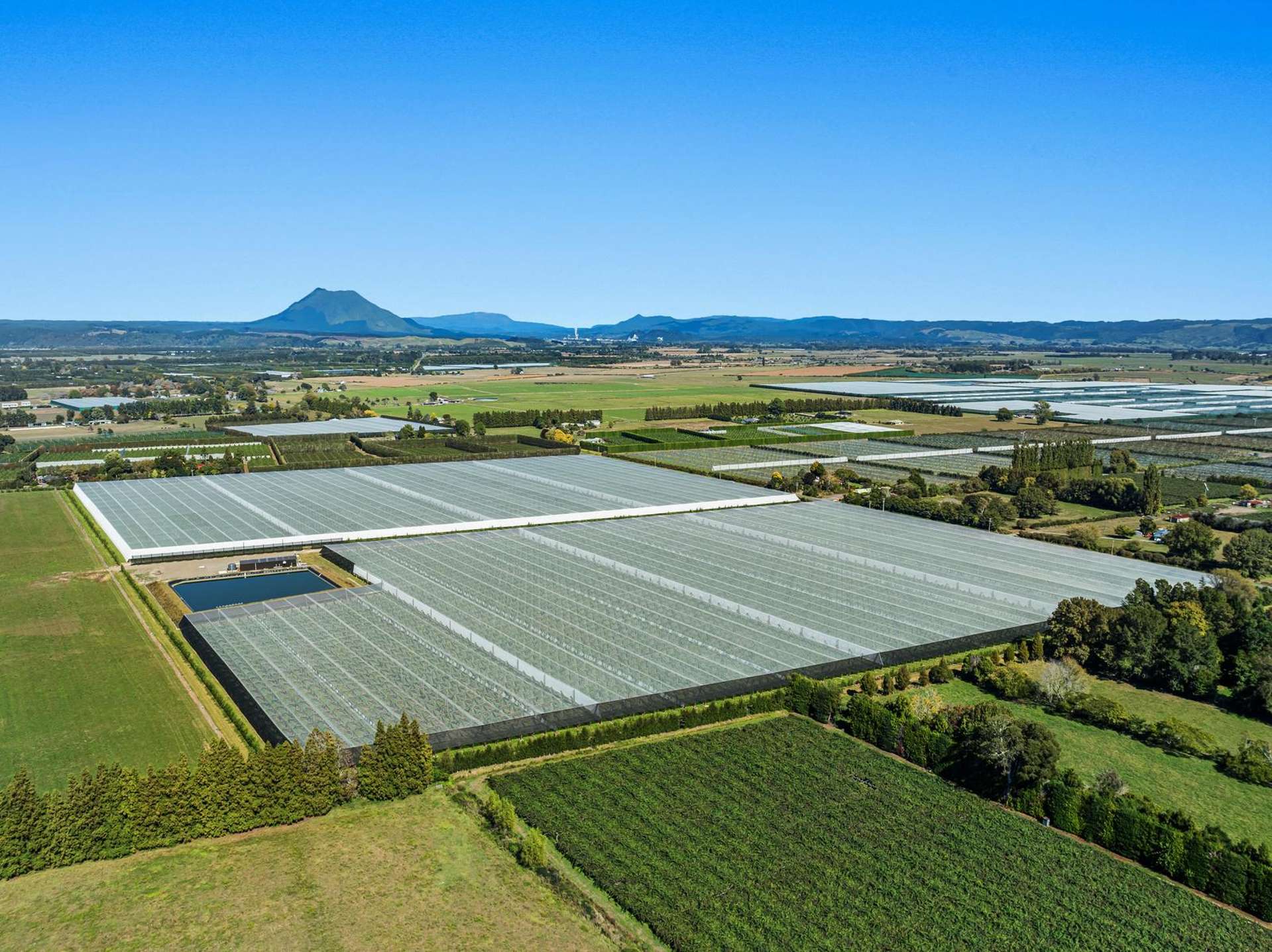 565 Western Drain Road Edgecumbe_0