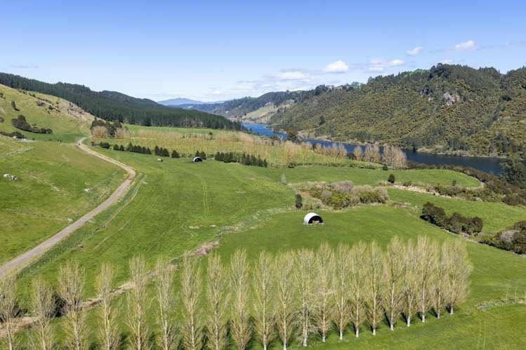 656 Waotu Road South Putāruru_6