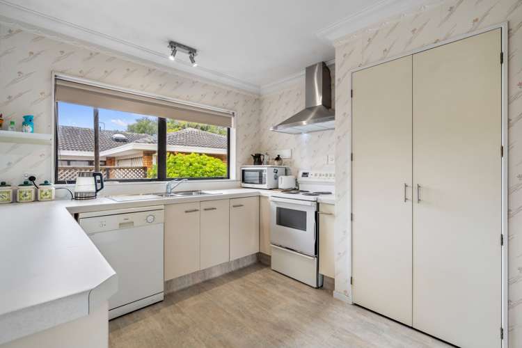 131b Fourteenth Avenue Tauranga South_5