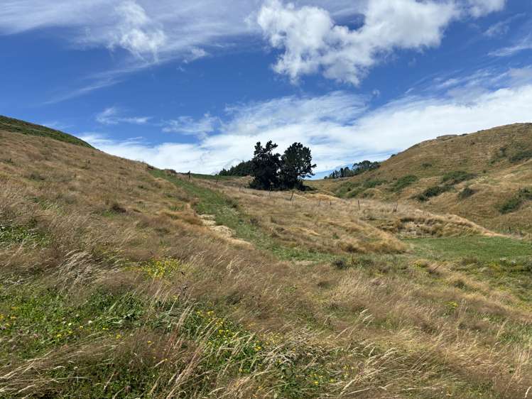 557 Palmer Mill Road Wairakei Taupō Rural Property For Sale One