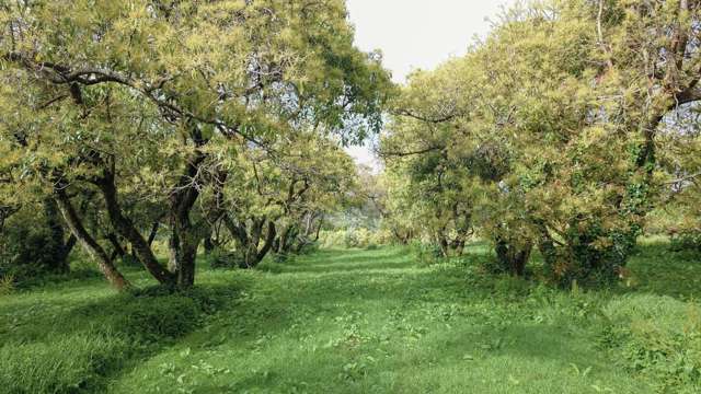 405 Tara Road Mangawhai_2