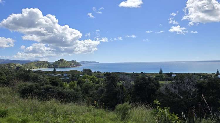 540b Medland Road Great Barrier Island_27