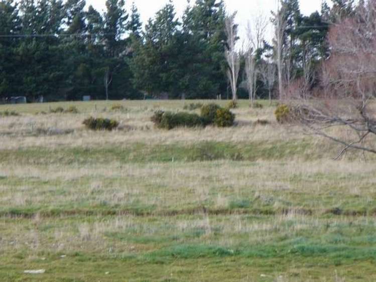 76 Garden Street Lumsden_1