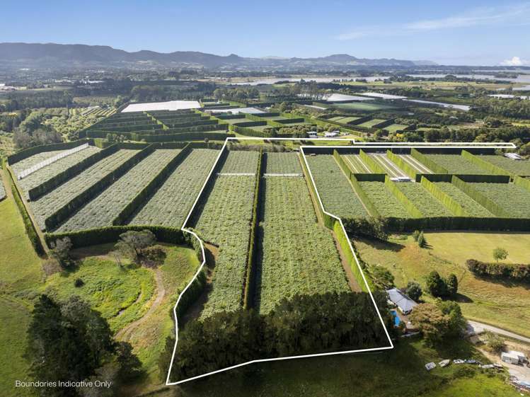 62 Elmwood Road Aongatete_28