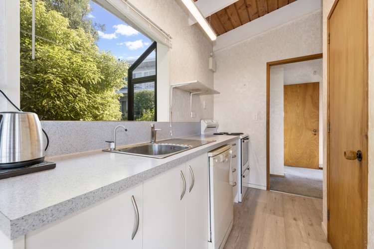 12a Layton Road Manly_5