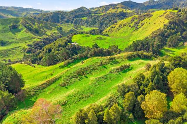 3499 State Highway 4 Kakatahi_4