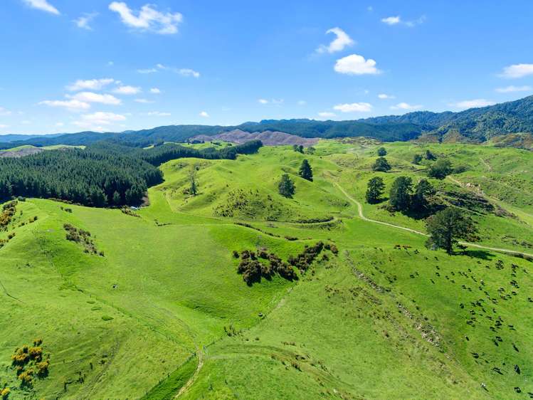 3848 Galatea Road Murupara Surrounds_19