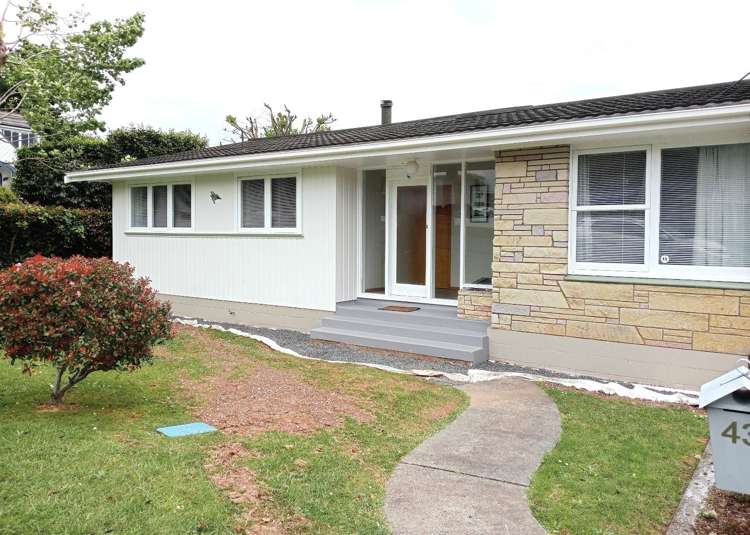 43 Wood Street Paeroa_0