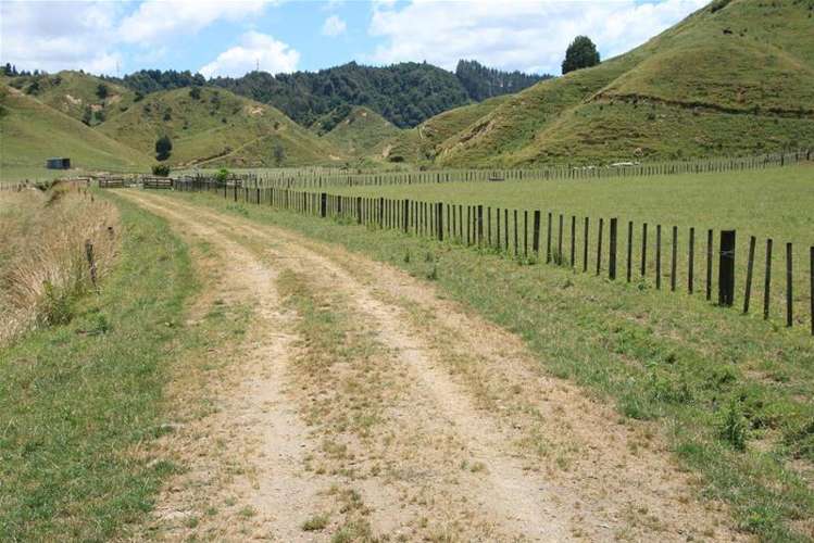 Walter Road Douglas_10