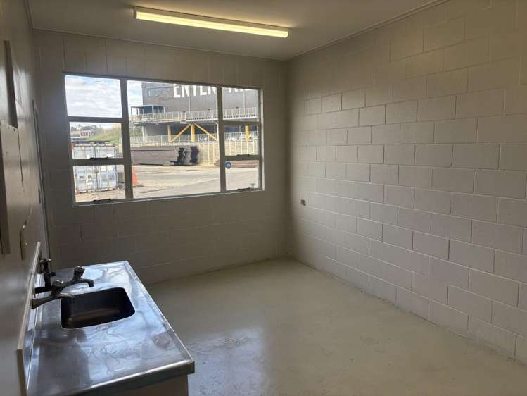 589 Rosebank Road Avondale_10